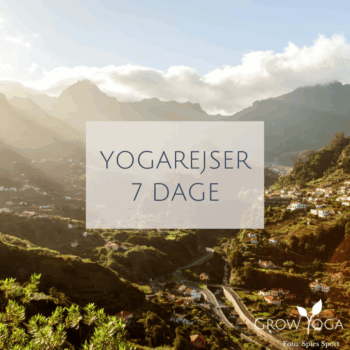 Yogaretreat, Yogagetaway, yogarejse