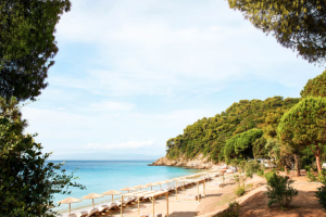 Skærmbillede 2024-07-18 kl. 12.18.45 Skærmbillede 2024-07-18 kl. 12.18.45