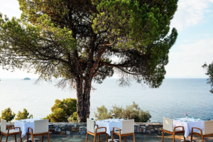 Skærmbillede 2024-07-18 kl. 12.19.34 Skærmbillede 2024-07-18 kl. 12.19.34